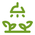 Lush green lawn with professional landscaping maintenance by Green Leaf Landscaping.