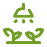 Lush green lawn with professional landscaping maintenance by Green Leaf Landscaping.